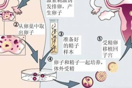 2024北京产检医院排行榜快收藏，看完就造怎么选择比较好