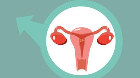 宫寒症其原因及治疗